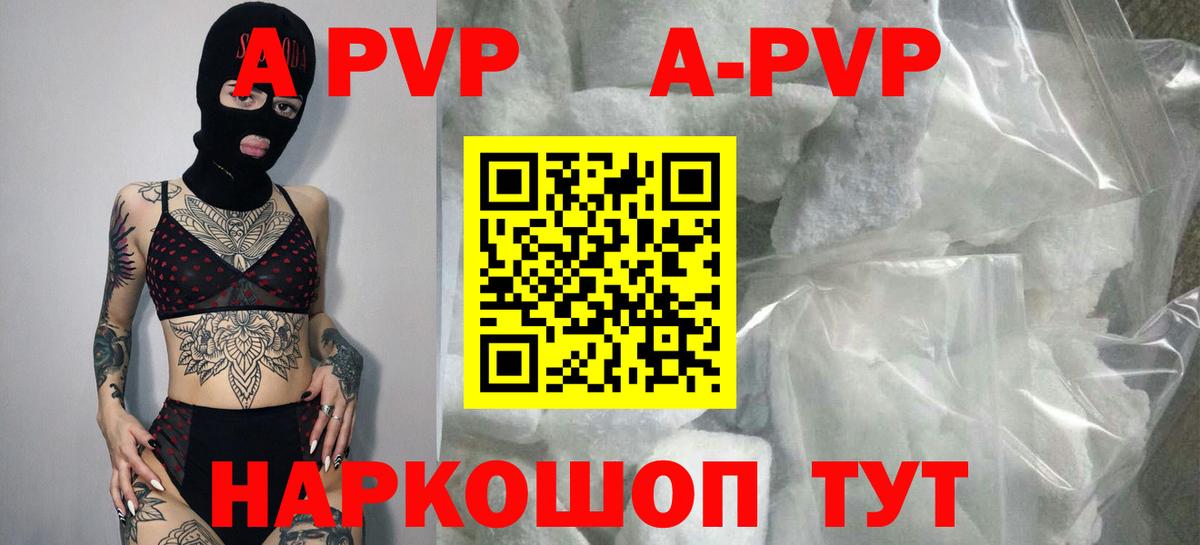 A PVP СК Новозыбков