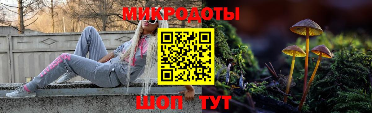 Псилоцибиновые грибы Psilocybine cubensis Новозыбков