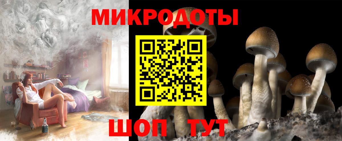 Псилоцибиновые грибы мухоморы  Вход с VPN  Новозыбков 